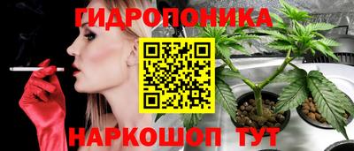 ПСИЛОЦИБИНОВЫЕ ГРИБЫ Ставрополь
