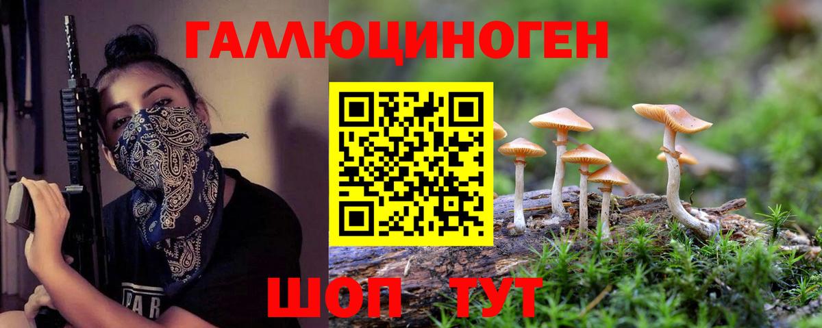Галлюциногенные грибы Psilocybine cubensis Отрадный